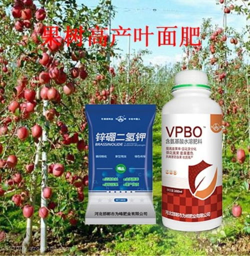 為峰肥業(yè) 專注花芽分化與著色促進(jìn)，引領(lǐng)生物肥料技術(shù)創(chuàng)新
