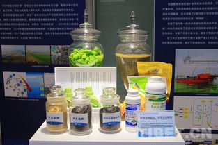 海洋試點(diǎn)國家實(shí)驗(yàn)室 問海十八載，為強(qiáng)國戰(zhàn)略注入海洋科研不竭動力